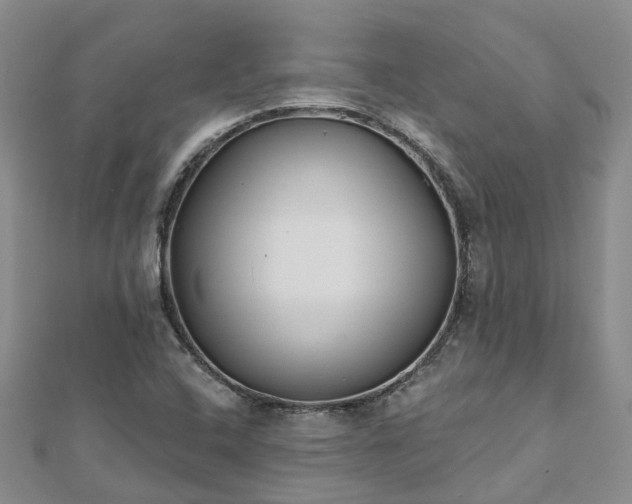 X0000112481408200908241244