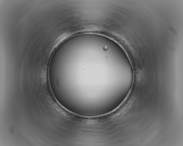 X0000112481409200908241244