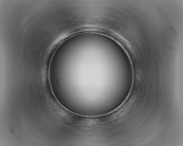 X0000112481411200908241244