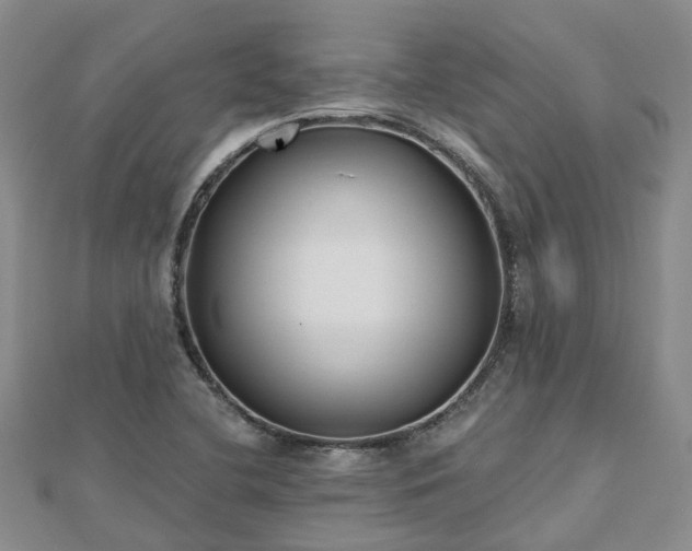 X0000112481412200908241244