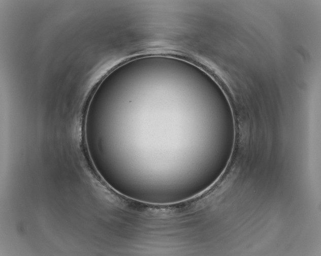 X0000112481415200908241244