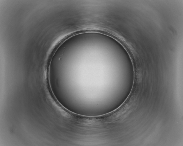 X0000112481416200908241244