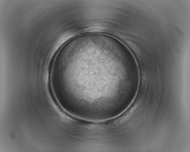 X0000112481418200908241244