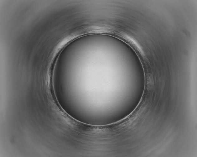 X0000112481419200908241244