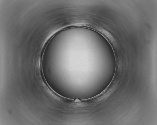 X0000112481420200908241244