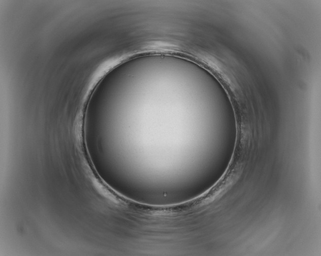 X0000112481421200908241244