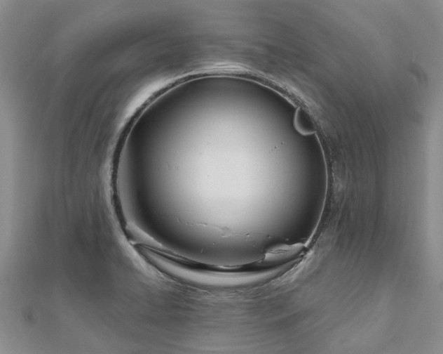 X0000112481422200908241244