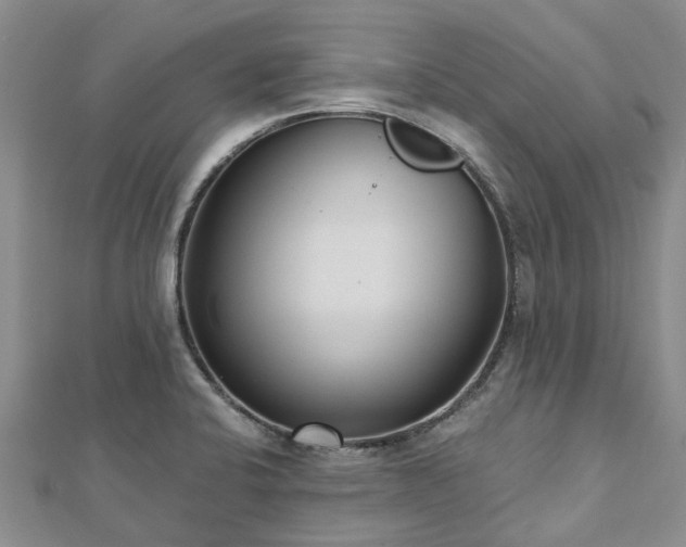 X0000112481424200908241244