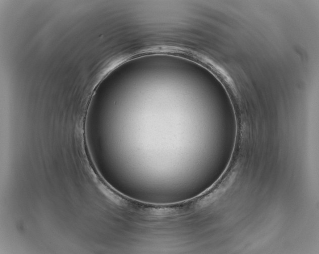X0000112481425200908241245