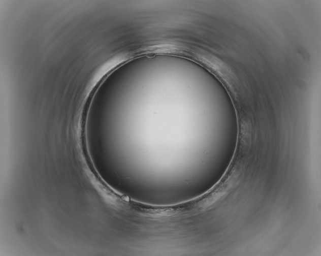 X0000112481426200908241245