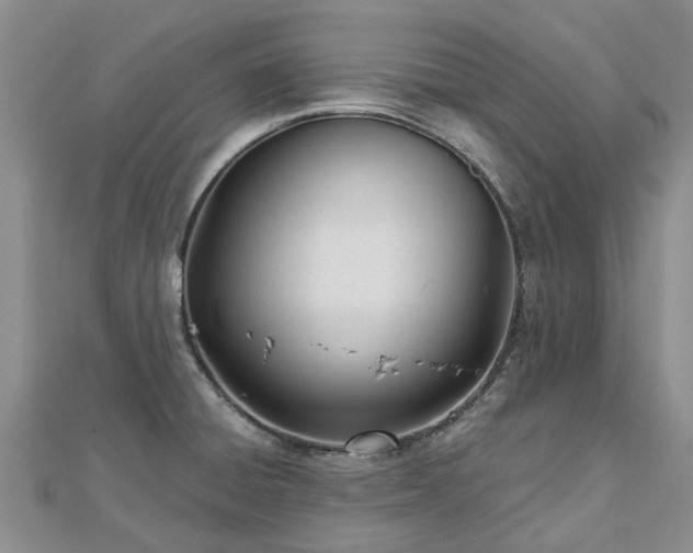 X0000112481428200908241245