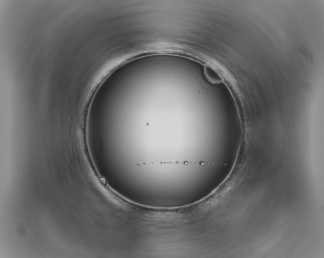 X0000112481429200908241245
