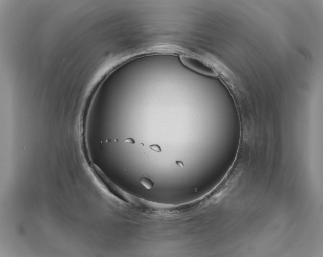 X0000112481430200908241245