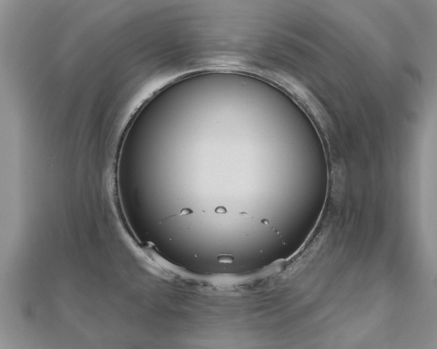 X0000112481432200908241245