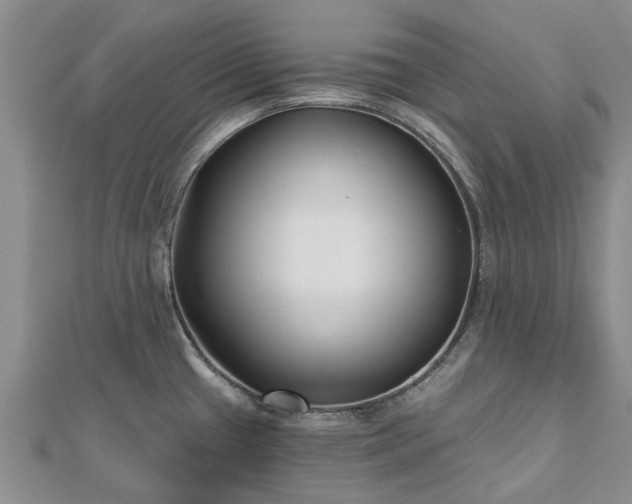 X0000112481433200908241245