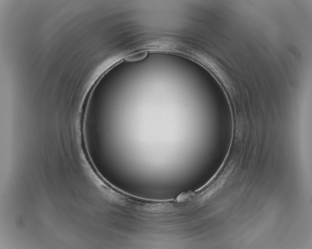 X0000112481434200908241245