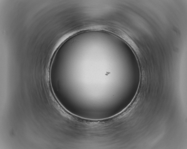 X0000112481436200908241245