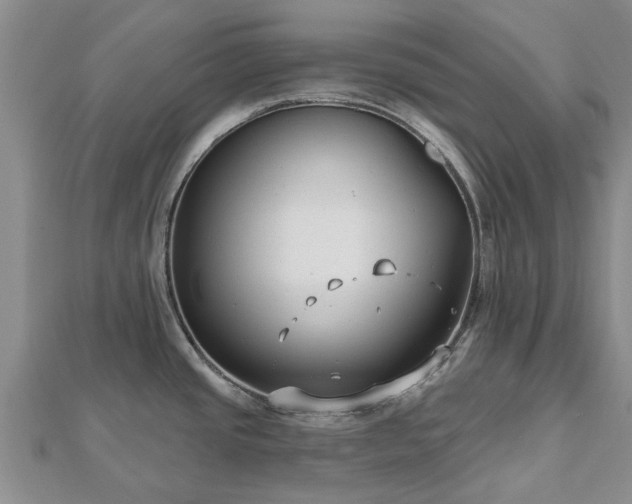 X0000112481437200908241245