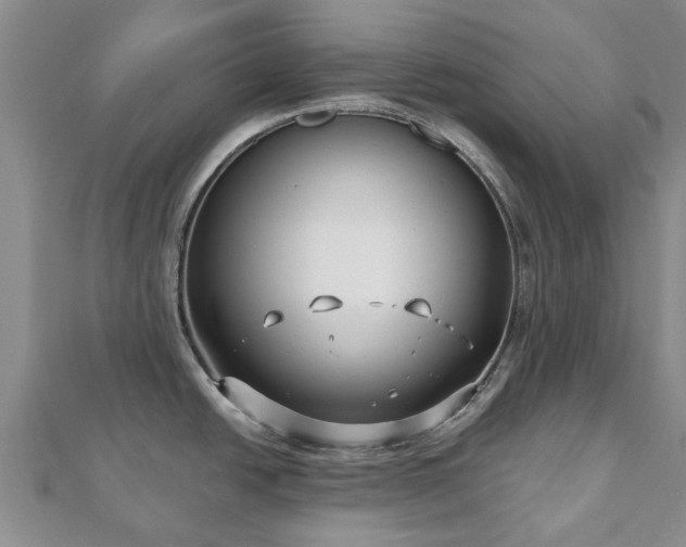 X0000112481438200908241245