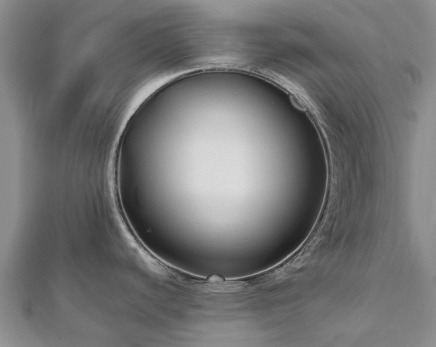 X0000112481440200908241245