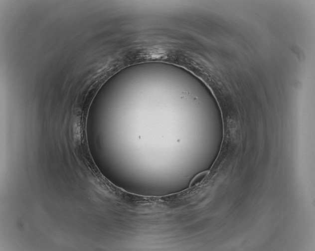 X0000112481442200908241244