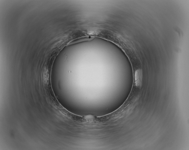 X0000112481443200908241244