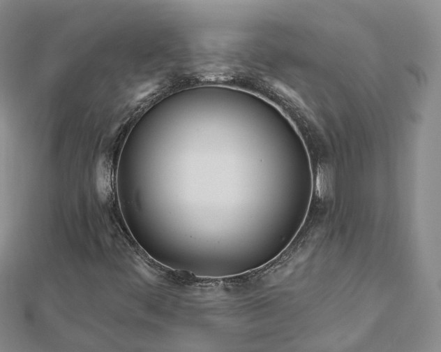 X0000112481444200908241244