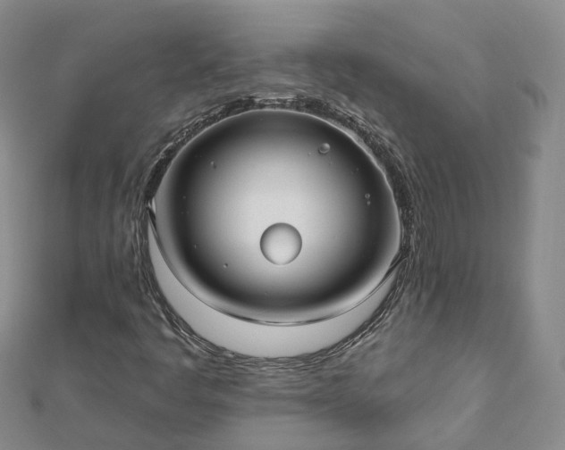 X0000112481445200908241244