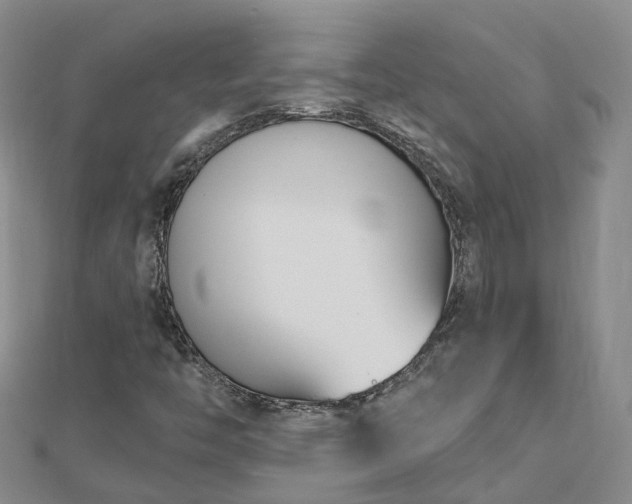 X0000112481446200908241244