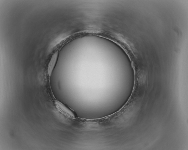 X0000112481448200908241244