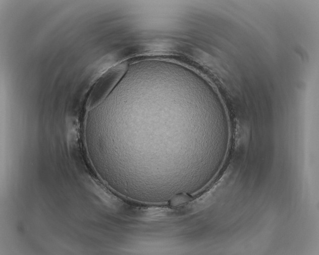 X0000112481449200908241244