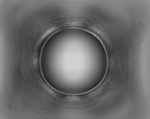 X0000112481450200908241244