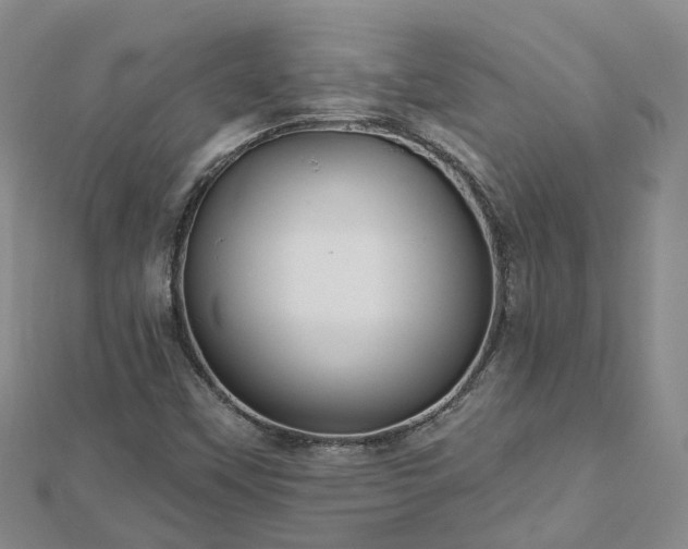 X0000112481451200908241244