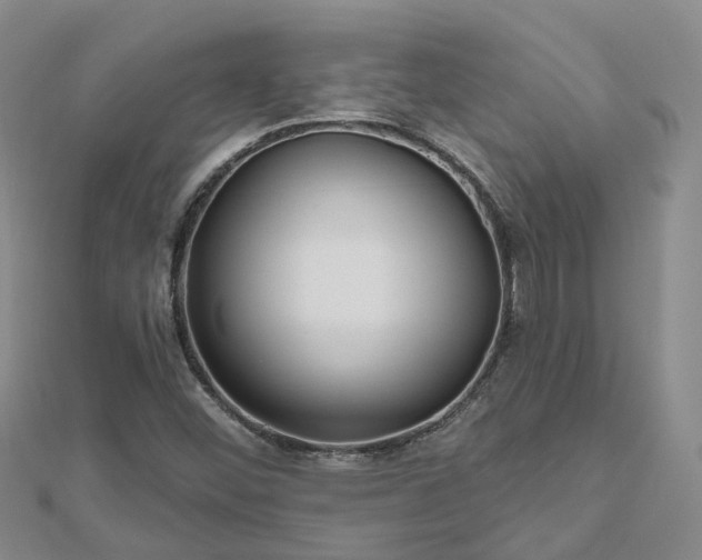 X0000112481452200908241244