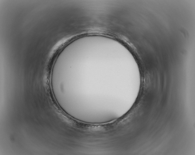X0000112481454200908241244