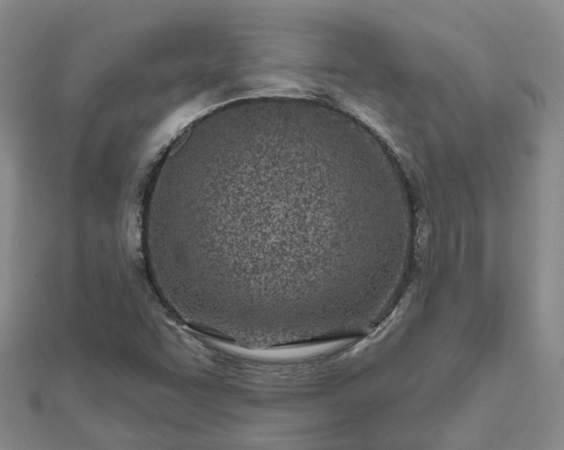 X0000112481455200908241244
