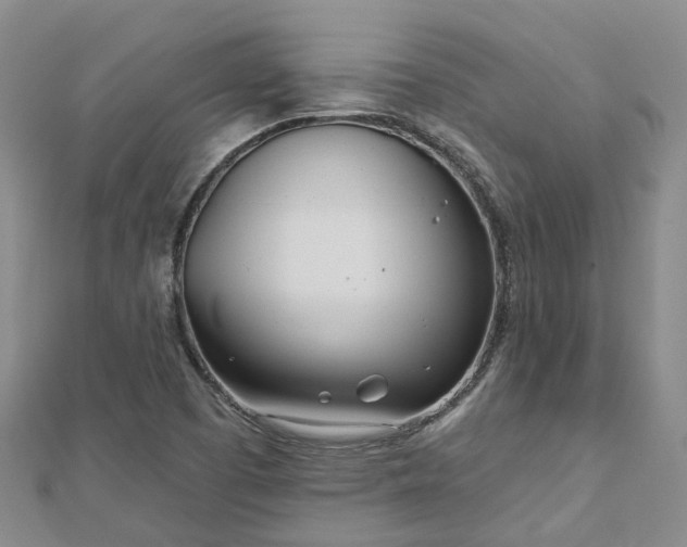 X0000112481457200908241244