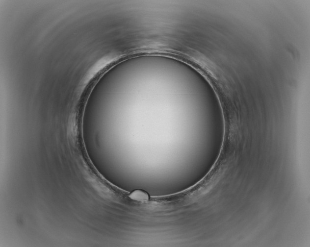 X0000112481458200908241244