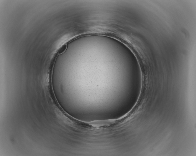 X0000112481459200908241244