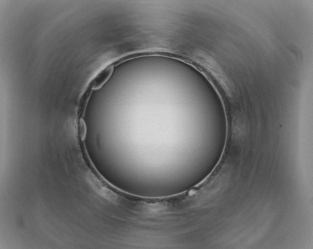 X0000112481460200908241244