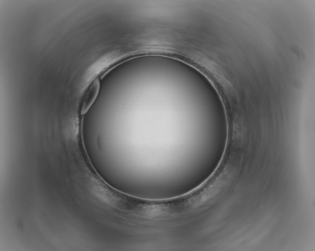 X0000112481461200908241244