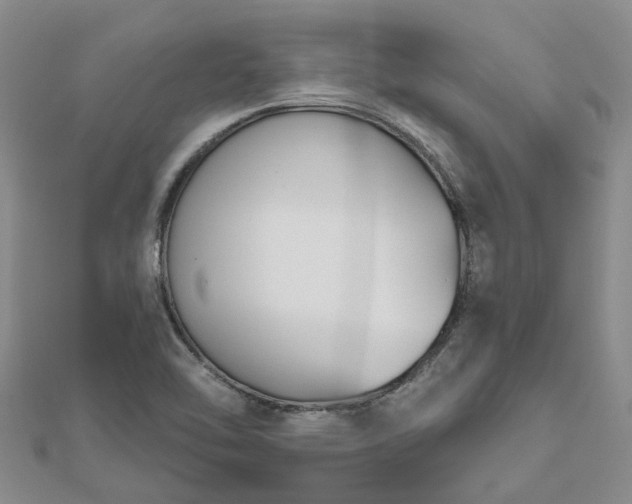 X0000112481462200908241244