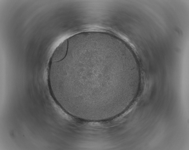 X0000112481463200908241244