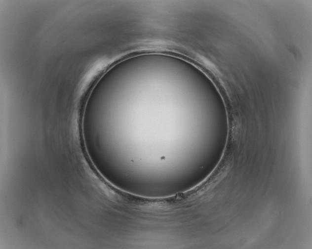 X0000112481464200908241244