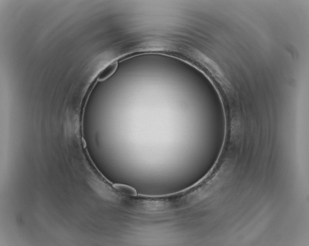 X0000112481465200908241244