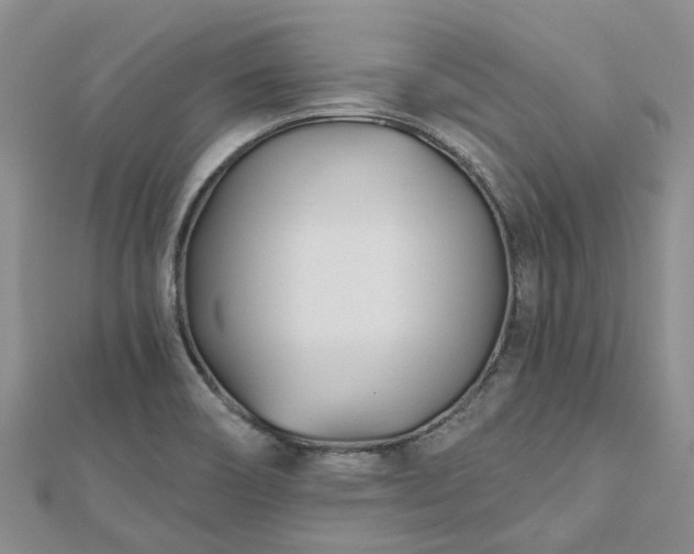 X0000112481466200908241244