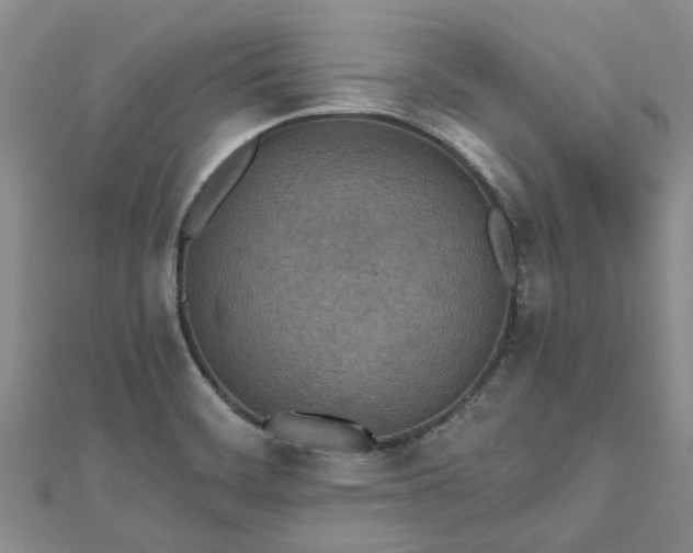 X0000112481468200908241244