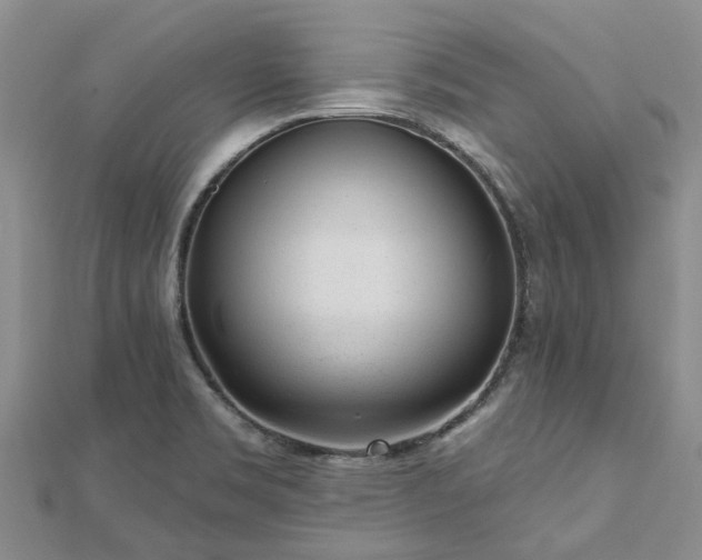 X0000112481469200908241244