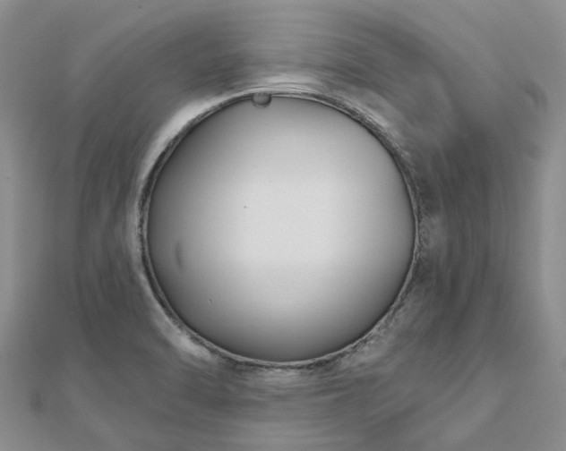 X0000112481470200908241244