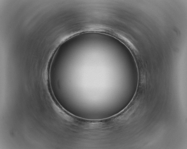 X0000112481471200908241244